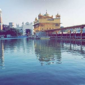 Meet your Posher, Jarman